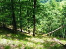DSCF0573
