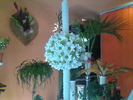 Imag001
