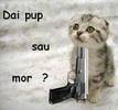SCLUYYUKOLHGDIHUMRG