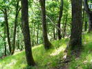 DSCF0571