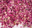 rose_pink