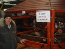 DSCN0176