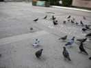DSCN0124