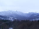 DSCF7637