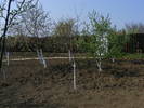 2009_04120088