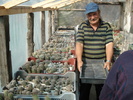 DSC09970