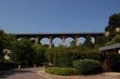 Resize of DSC_0231