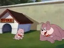 tom-si-jerry--that--s-my-pup[1]