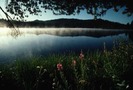 PO5_070L
