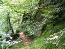 DSCF5382