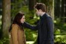 edward and bella