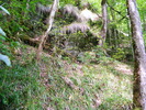 DSCF5381