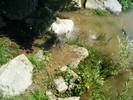 DSCF2464