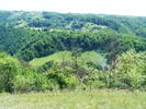 DSCF0546