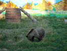 Picture 014