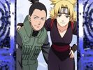 shikatema