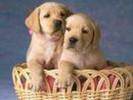 images16