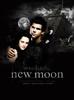 The_Twilight_Saga_New_Moon_1241027823_1_2009