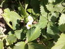 Fotografii-0031