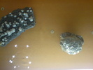 DSC00490