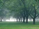 Wallpapers - Nature 9 - Early_Morning_Mist,_Central_Indiana