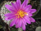 DSC08805