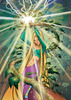 cornelia-witch-109