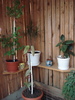 DSC09807