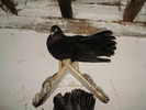P9040204