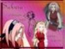 cfg sakura haruno sooper girl
