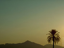 WO_SCN10