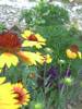 PICT0089