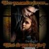 twilight