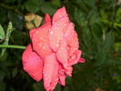 DSCI0649