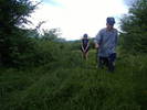 DSCF6118