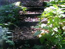 DSCF3639