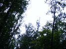DSCF5426