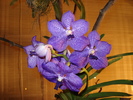 DSC01067