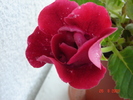 DSC02636