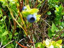 DSCF3038