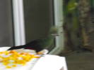 Picture 223