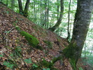 DSCF5312
