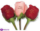 personalized-roses-1%20copy
