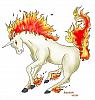 Rapidash[1]