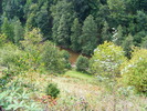 DSCF5006