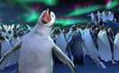 happy feet (6)