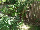 DSC09226