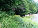DSCF2620