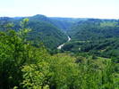 DSCF2394