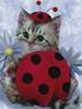 Cat_Ladybug